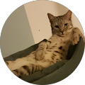 Nikstr YT Avatar